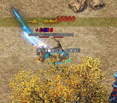 微信截图_20240913095524.png